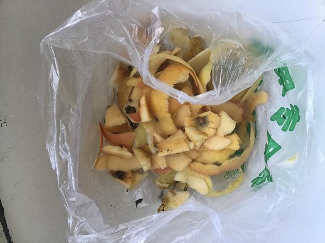 苹果皮是什么?苹果皮是什么垃圾分类!