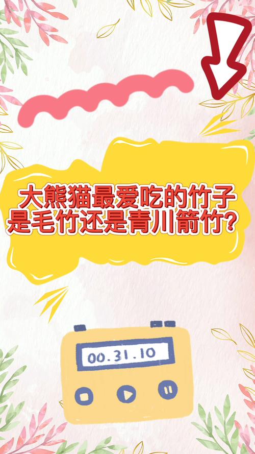 大熊猫最爱吃毛竹还是青川箭竹，大熊猫最爱吃毛竹还是青川箭竹呢？