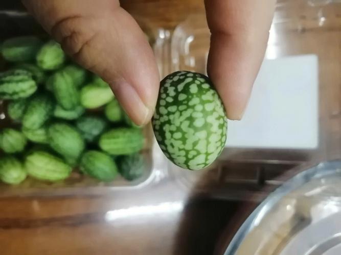 拇指西瓜?拇指西瓜怎么吃!