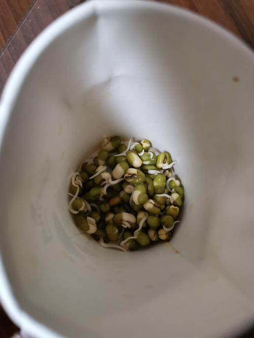 1一7天绿豆在水中的生长过程，1一7天绿豆在水中的生长过程日记四年级？