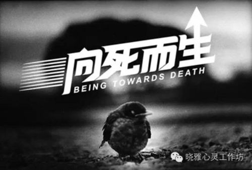 花语是向死而生的花，花语是向死而生的花英语！