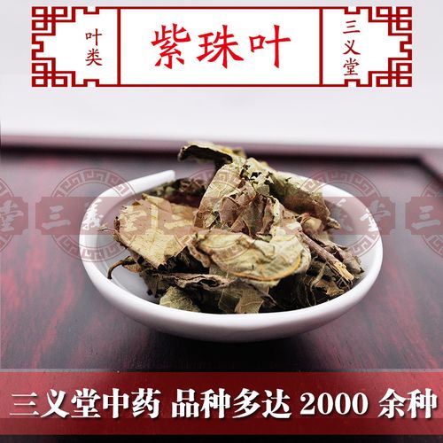 紫珠叶，紫珠叶洗剂湿敷作用与功效！
