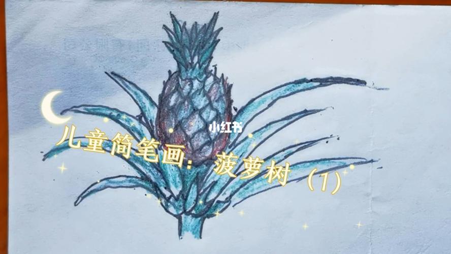 菠萝树图片，菠萝树图片简笔画？