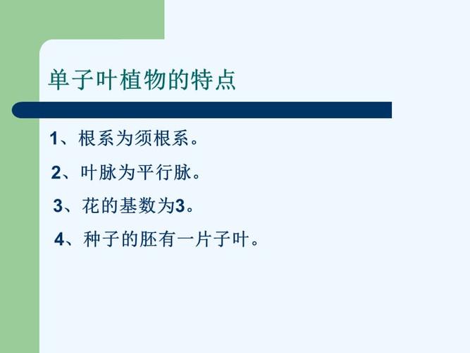 单子叶植物，单子叶植物有哪些常见的？