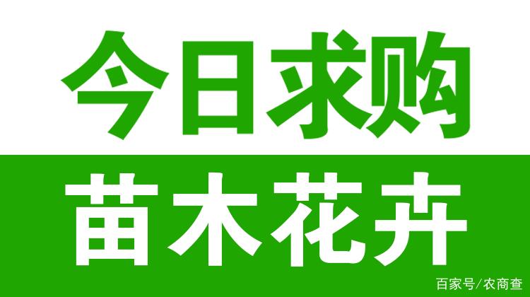 天天花木网，天天花木网求购信息？