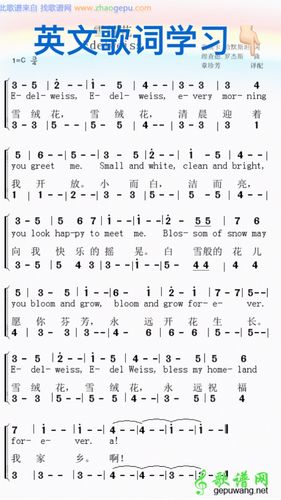 雪绒花英文版？雪绒花英文版歌曲？