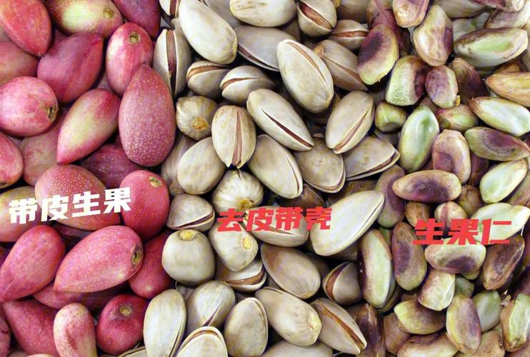 开心果是什么的果实，开心果是什么果实深加工的！