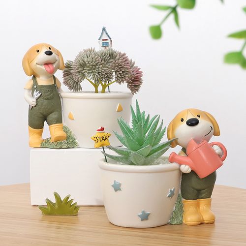 花卉狗app?花卉狗花盆!