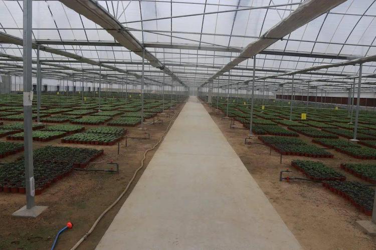 花卉大棚安装监控?花卉大棚安装监控视频!