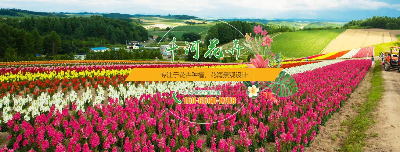 青州花卉种植代理?青州花卉种植代理电话!
