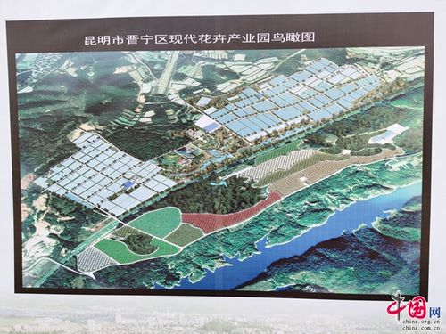 云南花卉基地联动?云南花卉基地联动项目招标!