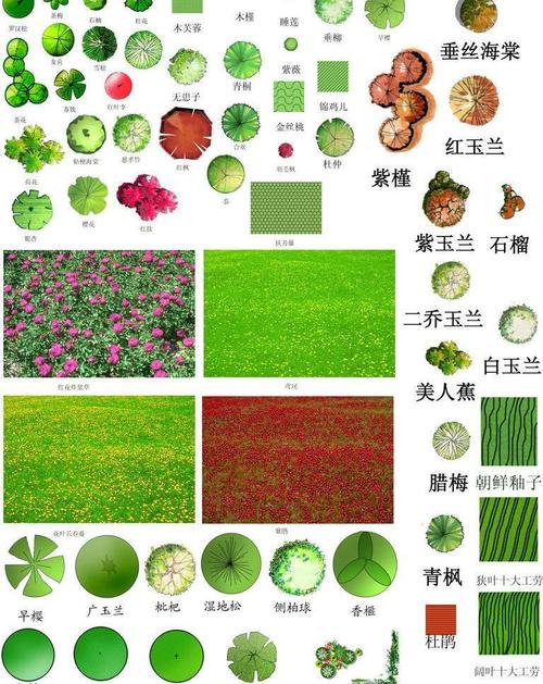 园林设计花卉?园林设计花卉平面图!