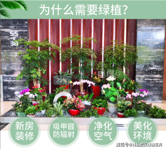 家庭花卉租赁模式?家庭花卉租赁模式有哪些!