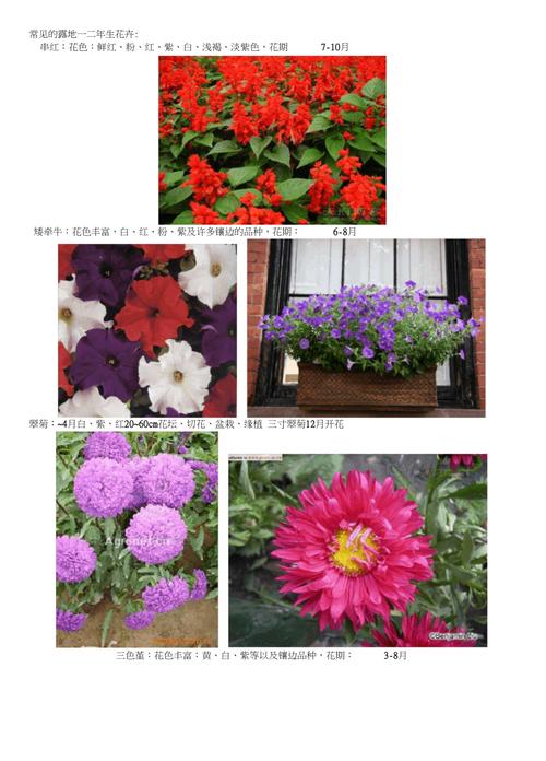花卉产品分类?花卉产品分类有哪些!