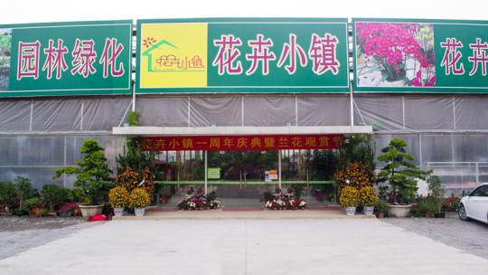 清远花卉小镇股份?清远市花卉小镇农业发展有限公司!