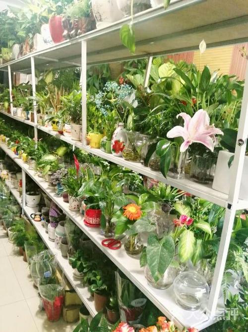 花卉园艺植物店?花卉园艺场!