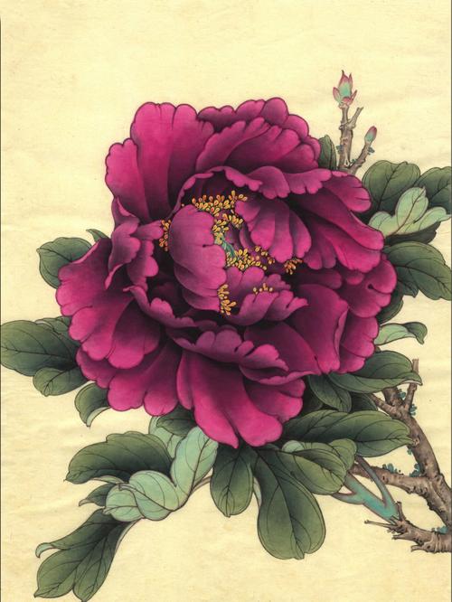 国画花卉大全?国画花卉图片大全!
