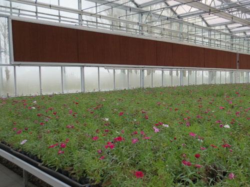 承包花卉智能温室?承包花卉智能温室的公司!