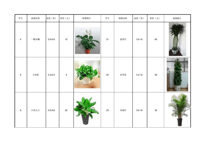 家居花卉价格?家居花卉价格表!